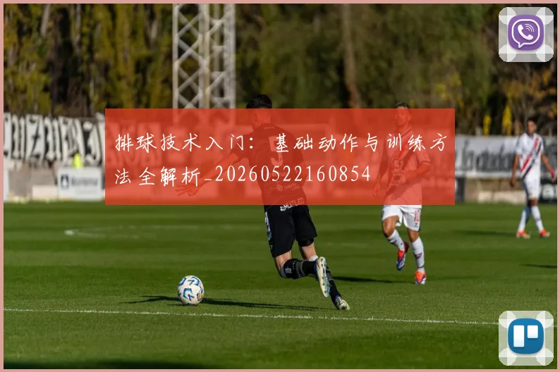 排球技术入门：基础动作与训练方法全解析_20260522160854