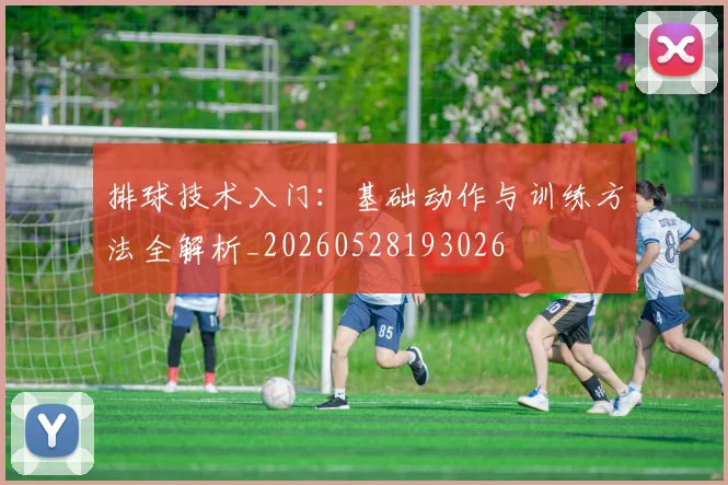 排球技术入门：基础动作与训练方法全解析_20260528193026