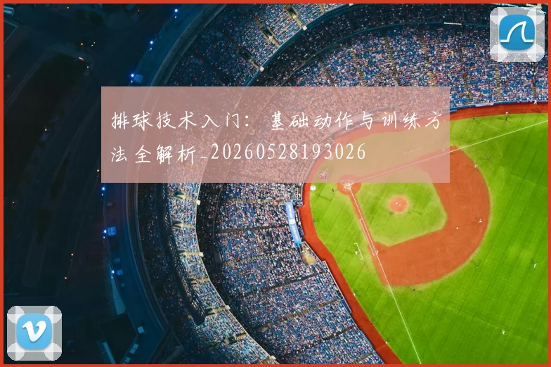 排球技术入门:基础动作与训练方法全解析_20260528193026